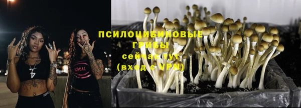 хмурый Богданович