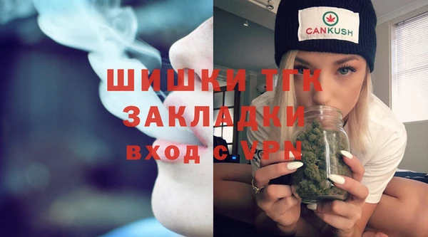PSILOCYBIN Богородицк