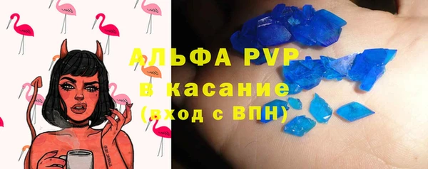 PSILOCYBIN Богородицк