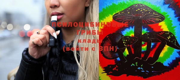PSILOCYBIN Богородицк