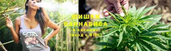 PSILOCYBIN Богородицк