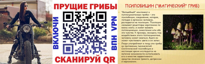 Псилоцибиновые грибы Magic Shrooms  Бодайбо 